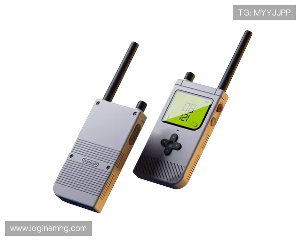 皇冠电子游戏368s用户体验优化，畅享流畅游戏不中断的极致体验